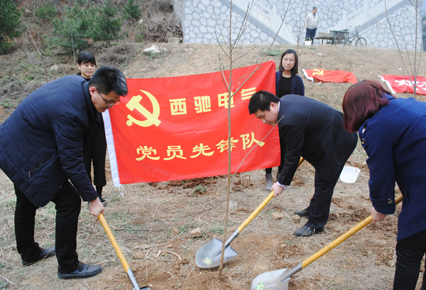 “春动财神争霸 绿满秦岭”公益植树运动(图3)